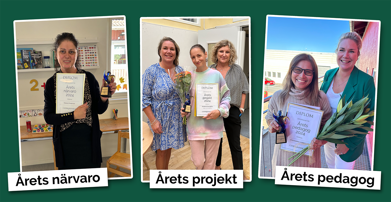 Läs mer om artikeln Årets pedagogiska hjältar och projekt firades på förskolornas studiedag